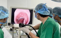 Bé 3 tuổi đau bụng, bác sĩ phát hiện "vật lạ" mắc trong tá tràng