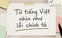 Tưởng là lỗi chính tả, hóa ra đây lại là một từ tiếng Việt chuẩn được từ điển ghi nhận