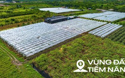 Toàn cảnh khu đất ven sông Hồng, nơi có thể xây tháp đôi nhiều tầng nhất thế giới, diện tích sàn gấp hơn 2 lần Burj Khalifa
