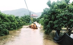 Hơn 100 hộ dân ở Bắc Ninh bị cô lập, chính quyền kêu gọi thuyền cứu hộ