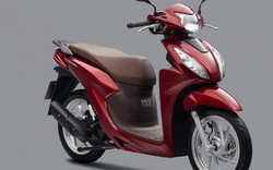 Bảng giá xe máy Honda Vision tháng 8/2026 mới nhất