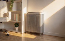 LG ra mắt máy lọc không khí, giá 15 triệu đồng