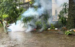 Hà Nội ghi nhận hơn 300 ca sốt xuất huyết trong một tuần