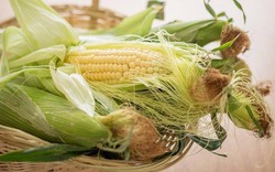 Đây chính là hai phần bổ dưỡng bậc nhất của bắp ngô! Nhiều người toàn bỏ phí