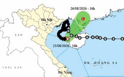 Bão số 4 Narra suy yếu thành áp thấp nhiệt đới