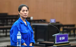 Giám đốc show 'Về đây bốn cánh chim trời' bị tuyên phạt 2 năm tù