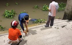Hai thi thể dạt vào bờ sông Sài Gòn, một người mang theo cục bê tông