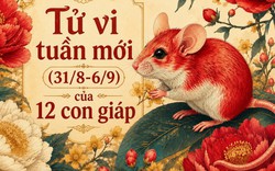 Lời khuyên cho 12 con giáp trong tuần mới (31/8-6/9)