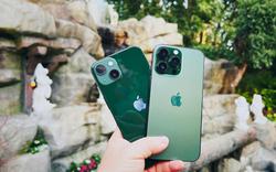 Chiếc iPhone cũ đáng mua nhất lúc này