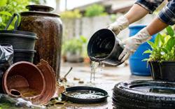 7 mẹo đơn giản giúp cắt đứt nơi sinh sản của muỗi khi mùa mưa đến