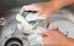 1 miếng rửa bát giải phóng tới 6,5 triệu hạt vi nhựa: 5 vật dụng quen thuộc trong nhà bị chỉ điểm là nguồn phơi nhiễm