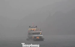 Mưa lớn ở vịnh Lan Hạ, Cát Bà, du khách xếp hàng chờ lên thuyền