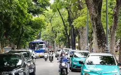Hà Nội miễn 100% vé xe buýt Vành đai 1, hỗ trợ 30% lãi suất vay đổi xe xanh