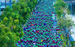 Chỉ từ 290.000 đồng, runner đã có thể check-in lễ hội VPBank Đất Sen Hồng Music Marathon 2026