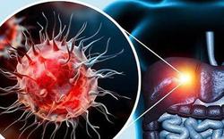 Không rượu bia, gan vẫn có thể tổn thương nặng vì lý do ít ai ngờ