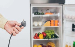 Dùng tủ lạnh có nên rút phích cắm điện không?