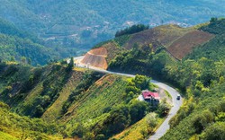 Người dân sống tại tỉnh nào có thu nhập bình quân thấp nhất Việt Nam, chỉ 2,5 triệu đồng?