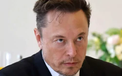 Elon Musk nổi giận