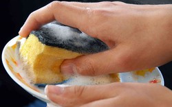 Lời khuyên cho những gia đình sử dụng miếng giẻ rửa bát