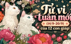 Tử vi tuần mới (14/9-20/9): Top 3 con giáp nhận nhiều lộc lá, công việc lẫn tình duyên đều lên hương
