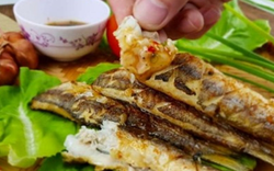 Đến Phú Quốc đừng chỉ ăn ghẹ, đây mới là loài cá đặc sản khiến thực khách mê mẩn