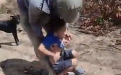 Chú chó theo bé trai 6 tuổi đi lạc ở Đắk Lắk, ở bên bảo vệ suốt đêm