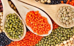 Loại hạt được ví như "thịt không xương", cực giàu đạm nhưng không làm tăng cholesterol: Chợ Việt bán rẻ bèo