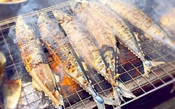 Rẻ hơn cá hồi nhưng dinh dưỡng ngang ngửa, lượng DHA dồi dào gấp 3 lần: Bạn có biết đó là cá gì?