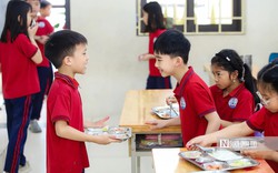 Thủ tướng yêu cầu loại nhà cung cấp suất ăn cho học sinh không đạt chuẩn