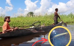 Sinh vật mất tích hơn 40 năm bất ngờ "sống lại": Người phụ nữ vô tình tìm thấy 2 con vào phút cuối