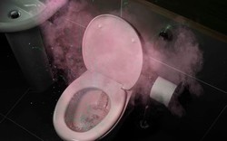Chuyện gì xảy ra nếu bạn xả nước bồn cầu không đóng nắp?