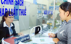 Cục Thuế có thông báo mới, người nộp thuế cần nắm rõ