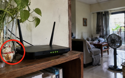 Cách đơn giản giúp WiFi trong nhà ổn định hơn