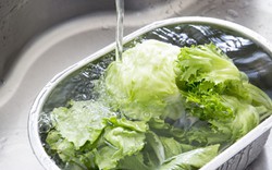 Lời khuyên dành cho những gia đình thường ngâm rau trước khi nấu
