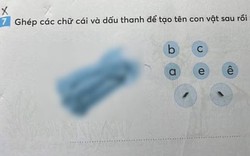 Con vật trong bài tập tiếng Việt này có gì "khác lạ" mà khiến 1 bà mẹ bức xúc, hội phụ huynh cũng vào cuộc tranh luận?