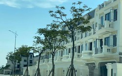 Hà Nội đề xuất chấm dứt 7 dự án chậm triển khai