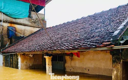 Hà Nội: Ngập gần tới mái nhà, người dân tất tả chạy lũ
