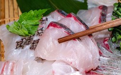 Loại cá bán đầy chợ Việt, được người Nhật mua về làm sashimi: Rẻ nhưng dinh dưỡng vượt cá hồi, cực tốt cho sức khỏe