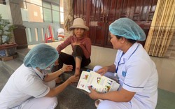 Chó mắc bệnh dại cắn 8 người ở Quảng Ngãi