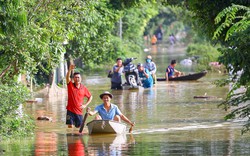 Sông Bùi vượt báo động 3, đê ngập sâu, dân Xuân Mai lũ lượt di dời