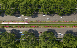 Việt Nam sắp có trục giao thông 10 làn kết hợp LRT dài gần 18km trên hòn đảo lớn nhất cả nước