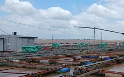 Hai cha con bị điện giật rơi xuống sông mất tích