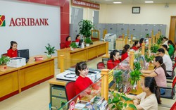 Lãi suất Agribank ngày 19/9: Gửi 100 triệu, 200 triệu, 300 triệu và 500 triệu thì mang về bao nhiêu tiền lãi?