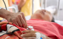 Vụ cây gãy đổ trong cơn mưa tại TPHCM: Người vợ đa chấn thương
