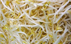 Người phụ nữ 40 tuổi ăn giá đỗ mỗi sáng để chống viêm nhưng lại mắc bệnh phụ khoa: Bác sĩ cảnh báo chị em cần chú ý một điều