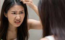 Lời khuyên cho tất cả những người cứ thấy tóc bạc là nhổ