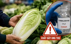 5 mẹo giúp bạn dễ dàng nhận biết cải thảo nhiễm formaldehyde