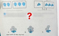 Bài Toán về đàn bướm khiến hội phụ huynh đọc xong "hoa mắt chóng mặt": Sao mà rắc rối quá!
