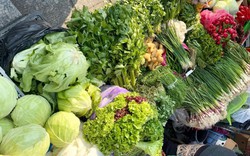 4 loại rau củ là "khắc tinh" của bệnh gan: Ung thư cũng phải sợ