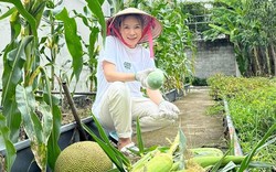 Vườn nhà nghìn mét vuông của Mỹ Tâm